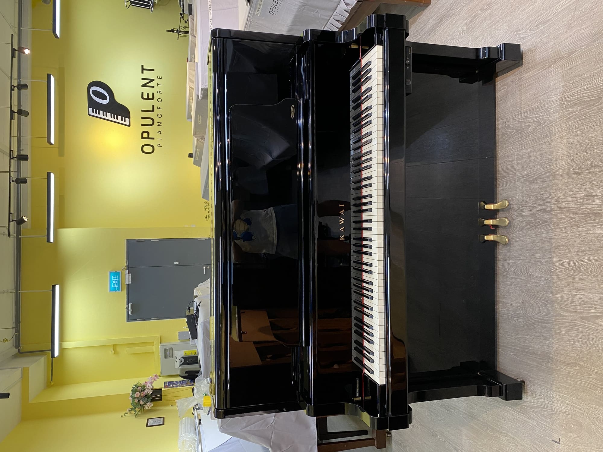 STEINWAY Piano Singapore in stock - Opulent Pianoforte SG