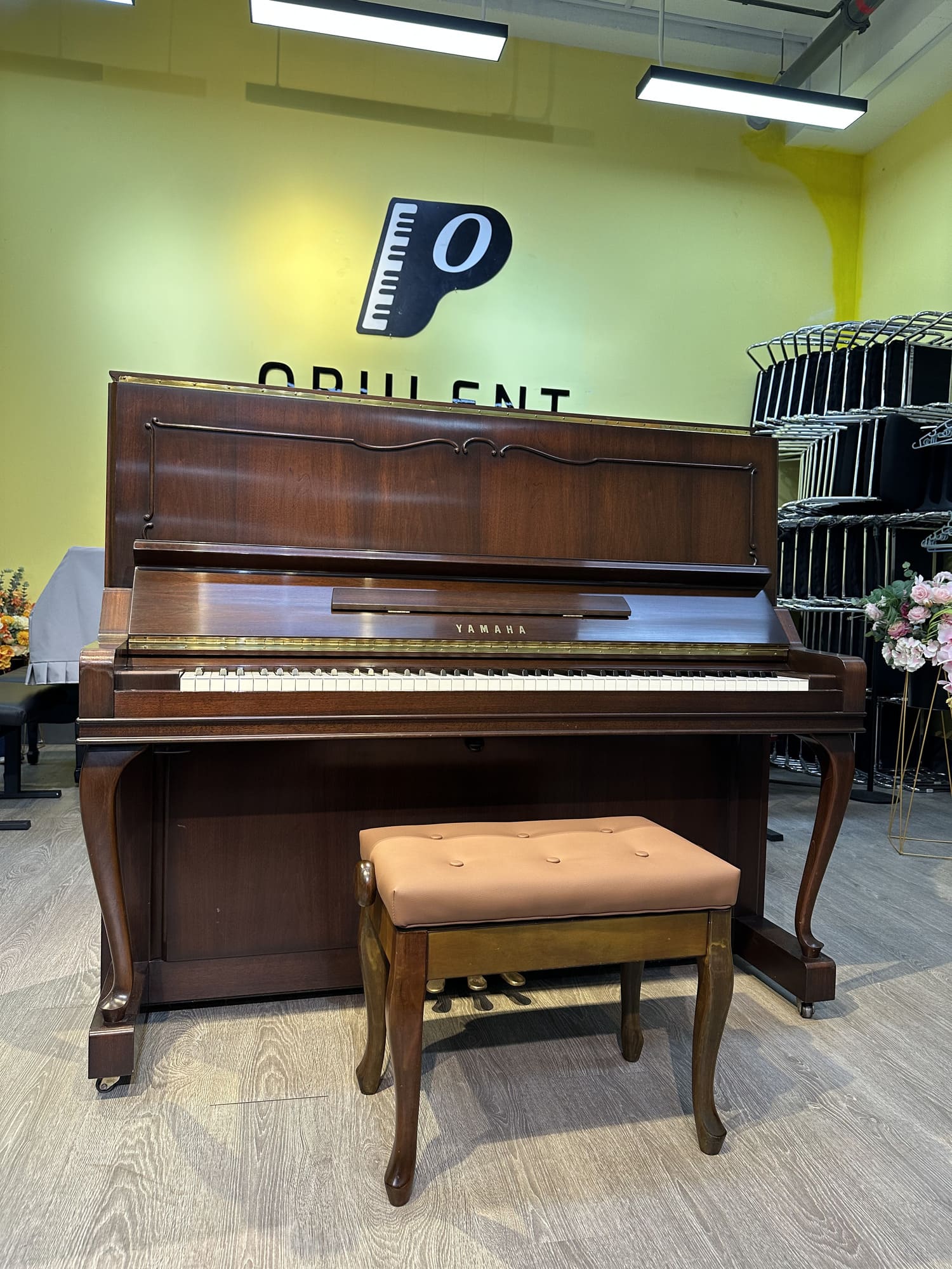 STEINWAY Piano Singapore in stock - Opulent Pianoforte SG