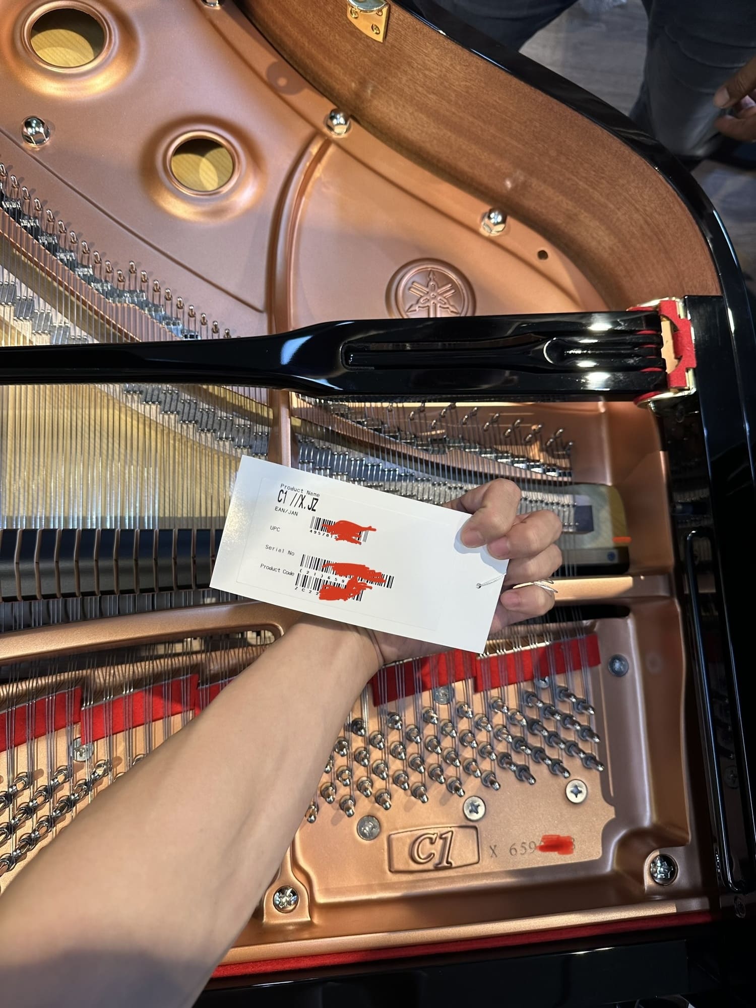 STEINWAY Piano Singapore in stock - Opulent Pianoforte SG